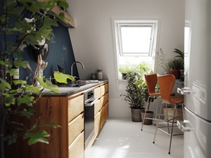 VELUX Roof Windows