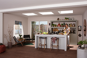 VELUX AMERICA EXPANDS FLAT ROOF PRODUCTS  WITH CURVED GLASS AND ROOF ACCESS SKYLIGHTS