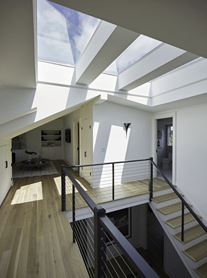 VELUX SkyMax Skylights